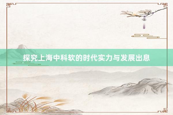 探究上海中科软的时代实力与发展出息